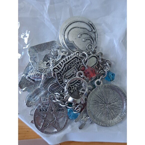 Vampire Diaries Charm Bracelet & 2 Pairs Halloween Earrings (Spiders, Pumpkins) - Picture 3 of 6